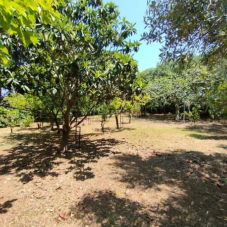 Elisa Holiday home